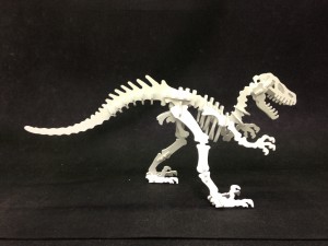 The Heritage Printing & Graphics Custom cut Dinosaur! 704-551-0700 IMG_1922