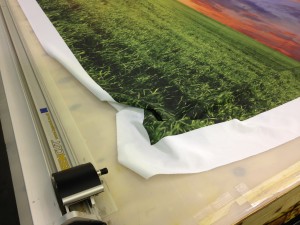 Printed with Latex Inks on our New HP 104" Printer Tradeshow Graphics