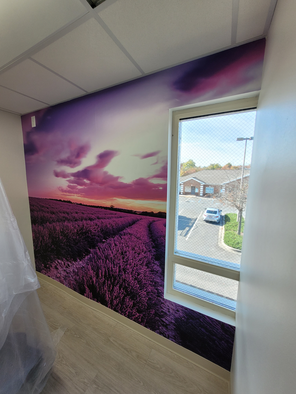 Radiant Smiles | Project Spotlight