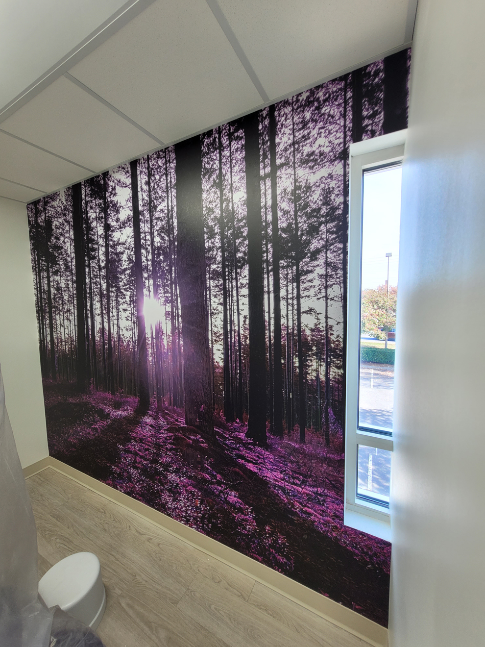 Radiant Smiles | Project Spotlight