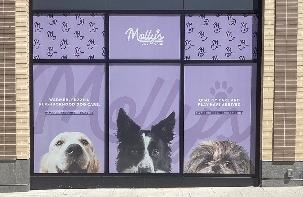 Adhesive vinyl graphics for company branding in Concord, NC