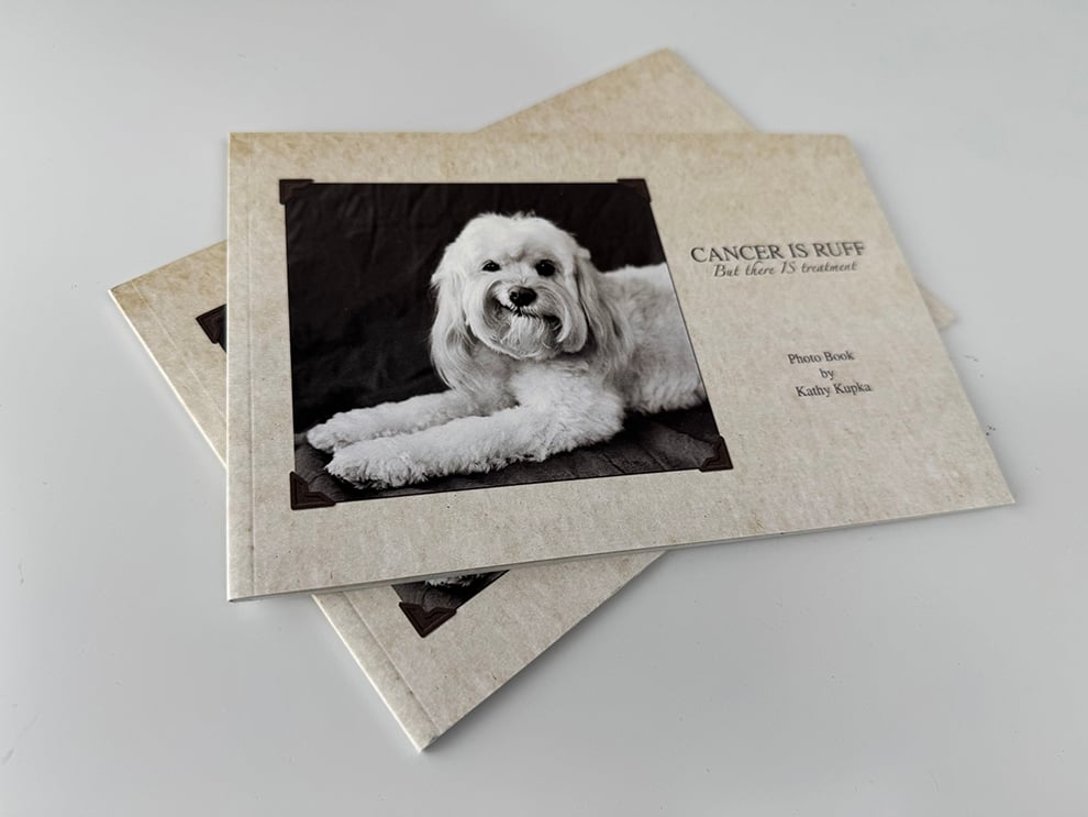 Perfect Bound Books in Charlotte, NC printed and produced for professional corporate communications