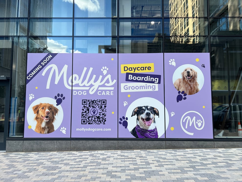 Window Graphics in Charlotte, NC