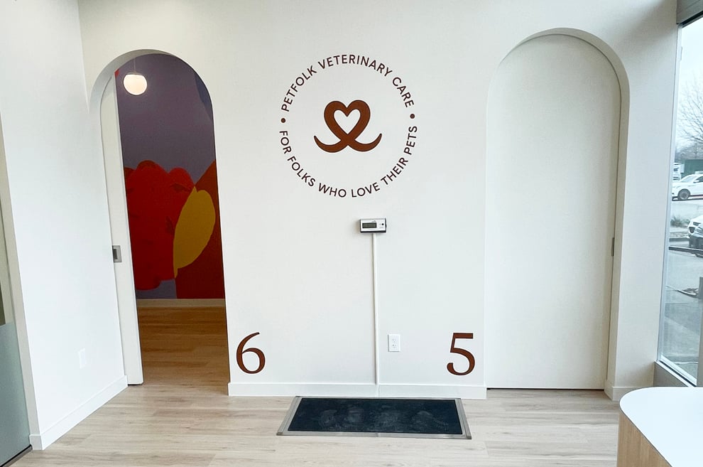 Office and business storefront graphics installed Gastonia, NC